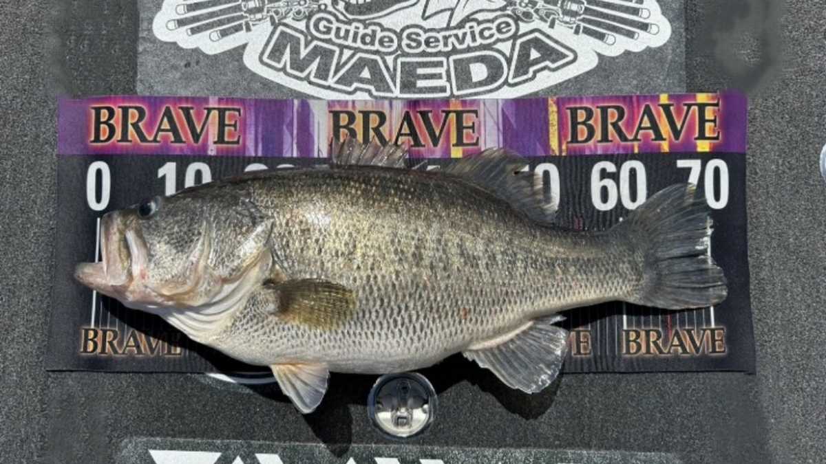 琵琶湖・南湖のナナマル詳細！】ガイド前田のゲストがスイムジグ